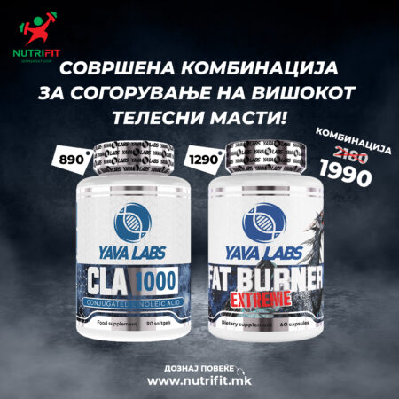 CLA 1000 + FAT BURNER EXTREME